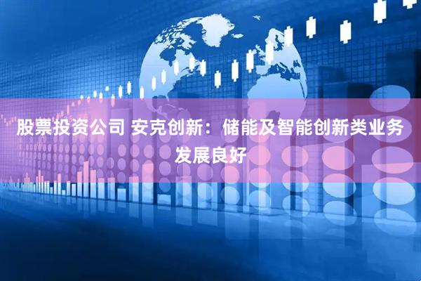 股票投资公司 安克创新：储能及智能创新类业务发展良好