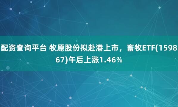 配资查询平台 牧原股份拟赴港上市，畜牧ETF(159867)午后上涨1.46%
