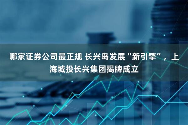 哪家证券公司最正规 长兴岛发展“新引擎”，上海城投长兴集团揭牌成立
